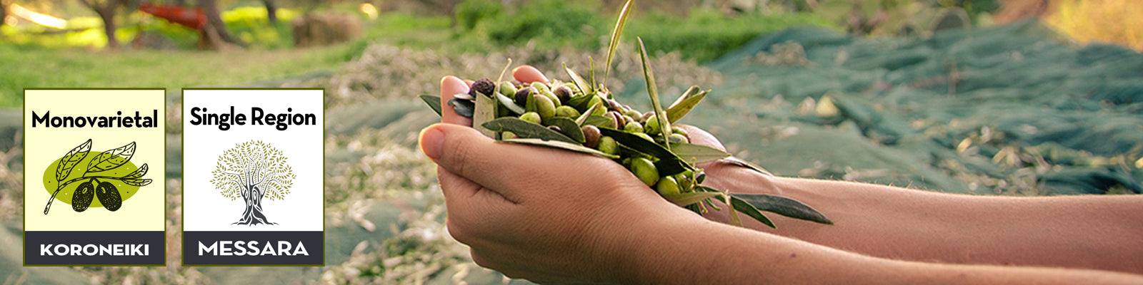 Shop All - Aleta Farms