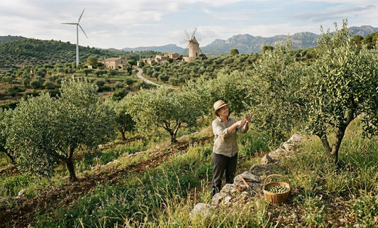 Why Sustainable and Ethical Farming Matters