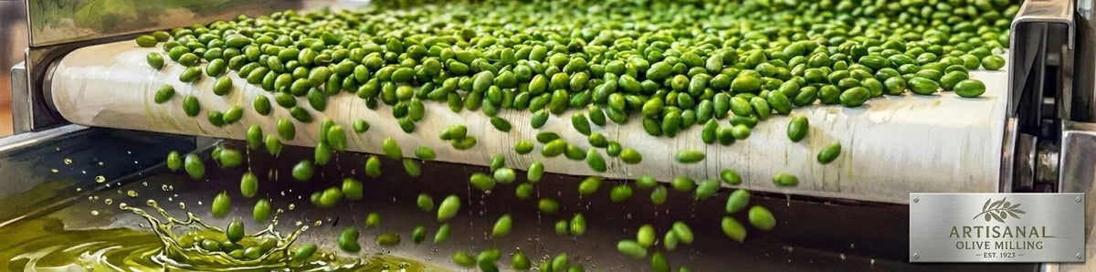 Extra Virgin Olive Oil - Aleta Farms