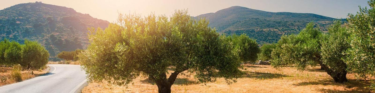 Second Chance Products - Aleta Farms